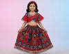 Brown Traditional Printed Lehnga Choli