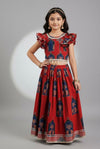 Brown Traditional Printed Lehnga Choli