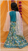 Turquoise Blue Embroided Lehnga Choli