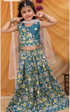 Turquoise Blue Embroided Lehnga Choli